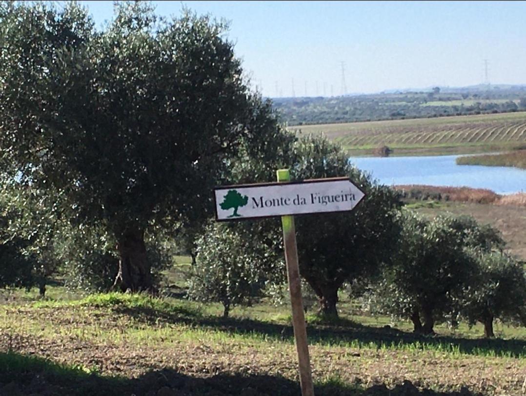 Monte Da Figueira